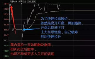 如何复利股票
