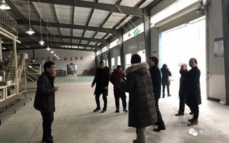 合肥东方证券工作怎么样