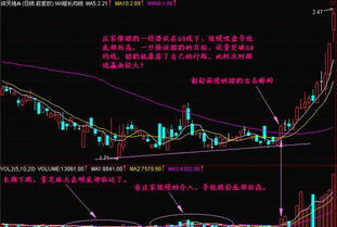 熊市如何选择股票 熊市如何选择股票