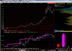 证券公司的代码怎么看懂 证券公司的代码怎么看懂