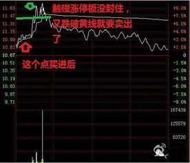 股票如何t 0操作 股票如何t 0操作
