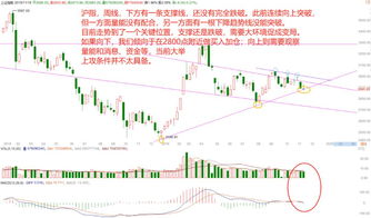 如何确定股票上市数量