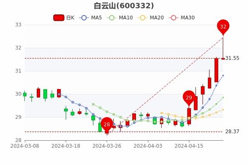 白云山股票如何