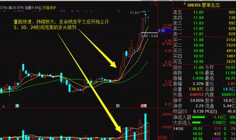 如何短线选股票