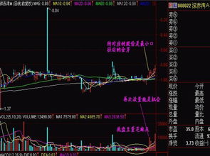 中国未来的股票行情如何