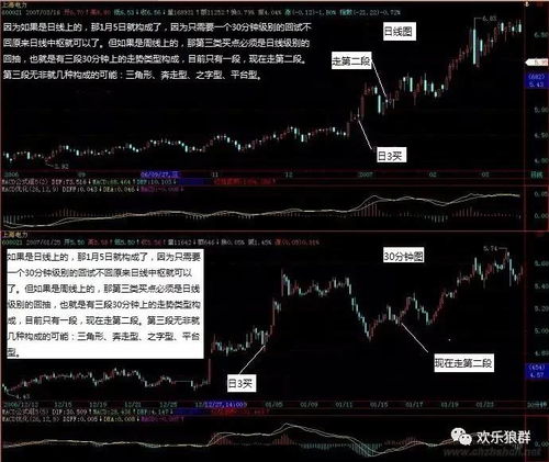 马和虎一起炒股票如何看