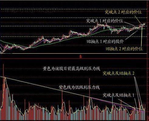 马和虎一起炒股票如何看