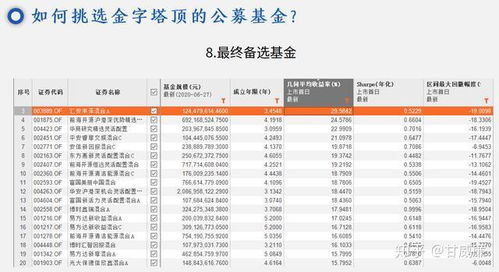 中国股票如何选股票基金