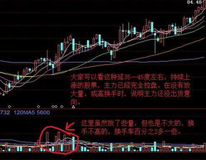如何看股票主力控盘