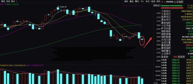 科技股票明日预期如何 科技股票明日预期如何