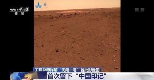 证券副券怎么拍号