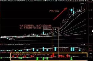 现代人如何选择股票市场