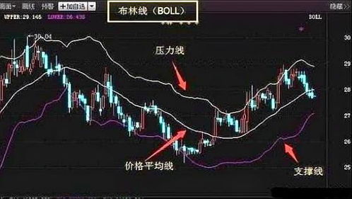 现代人如何选择股票市场