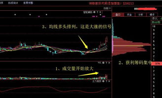 股票如何种股