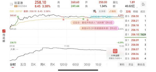 比亚迪股票前景如何 比亚迪股票前景如何