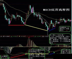 股票的技术指标如何使用
