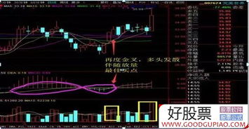 如何查看股票基本面