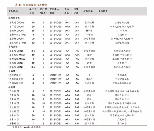 兴业证券怎么申购债券