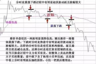 如何找到选不好的股票号