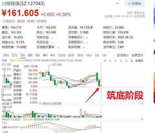 国泰转债如何转股票