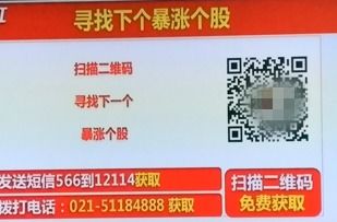 上海新兰德证券怎么样