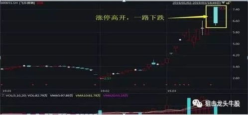如何选出当天高开股票