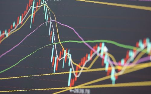 如何鉴定股票基金