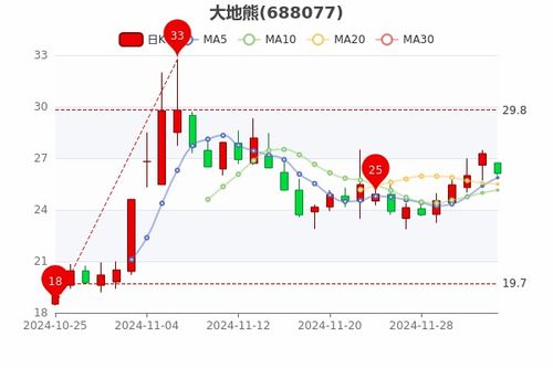 大地熊股票如何