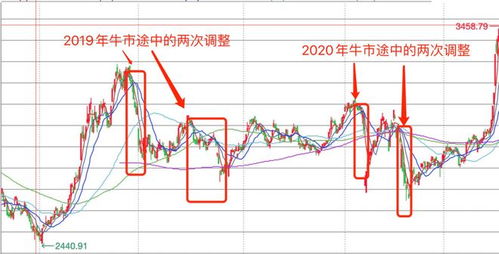 证券怎么老是跌