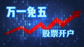 选择股票后如何开户上市 选择股票后如何开户上市