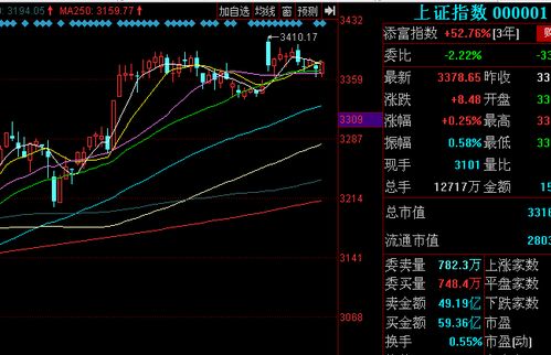 如何看当天谁买入的股票