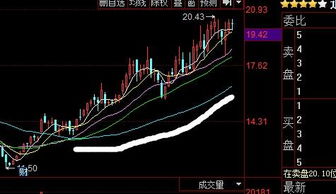 如何能看到三千只股票