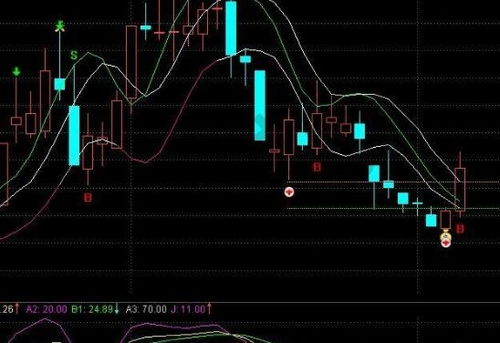 股票信息如何显示股价