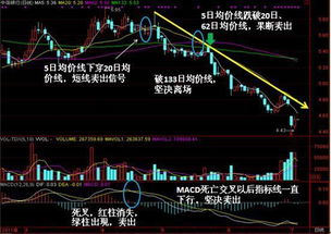 如何查看股票的每日股价
