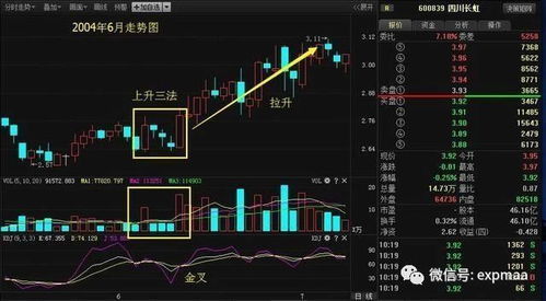 怎么学习证券炒股