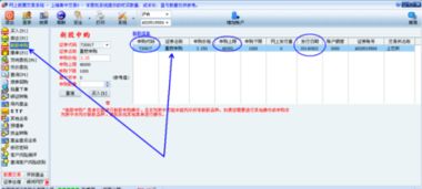 如何查询股票交易账号