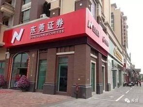 唐山东莞证券怎么样