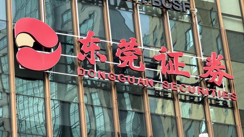 唐山东莞证券怎么样