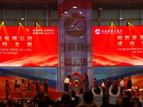 泰安路证券公司怎么样