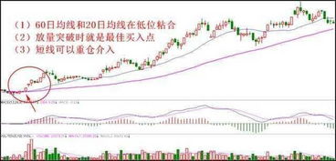 房子和股票如何选股