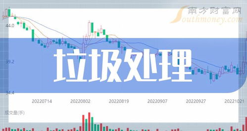如何看垃圾公司股票行情