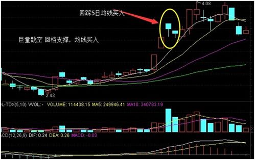 如何看懂蚂蚁股票指数