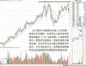 强势股票如何做题材分类
