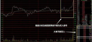 强势股票如何做题材分类
