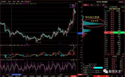 如何研究股票成功率高