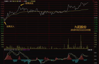如何选择一只股票