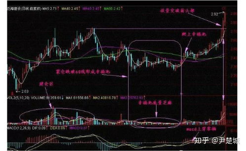 如何判定股票价格上涨