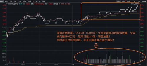 如何筛选股票龙头板块