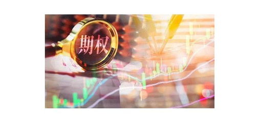 如何查名下股票期货