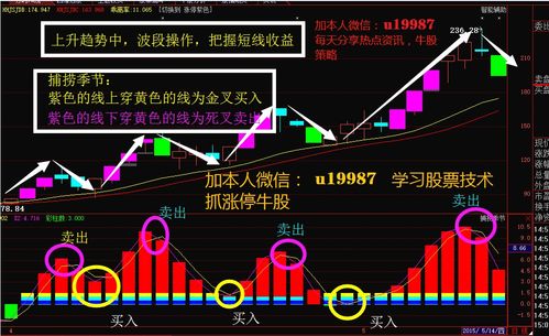 股票301367如何 股票301367如何